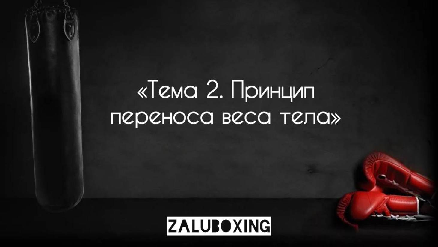 Тема 2. Принцип переноса веса тела смотреть онлайн