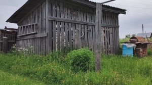 Как свекровь в посёлок съездила,картофельное поле.