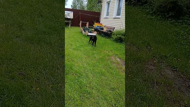 1000001478.mp4 смотреть онлайн