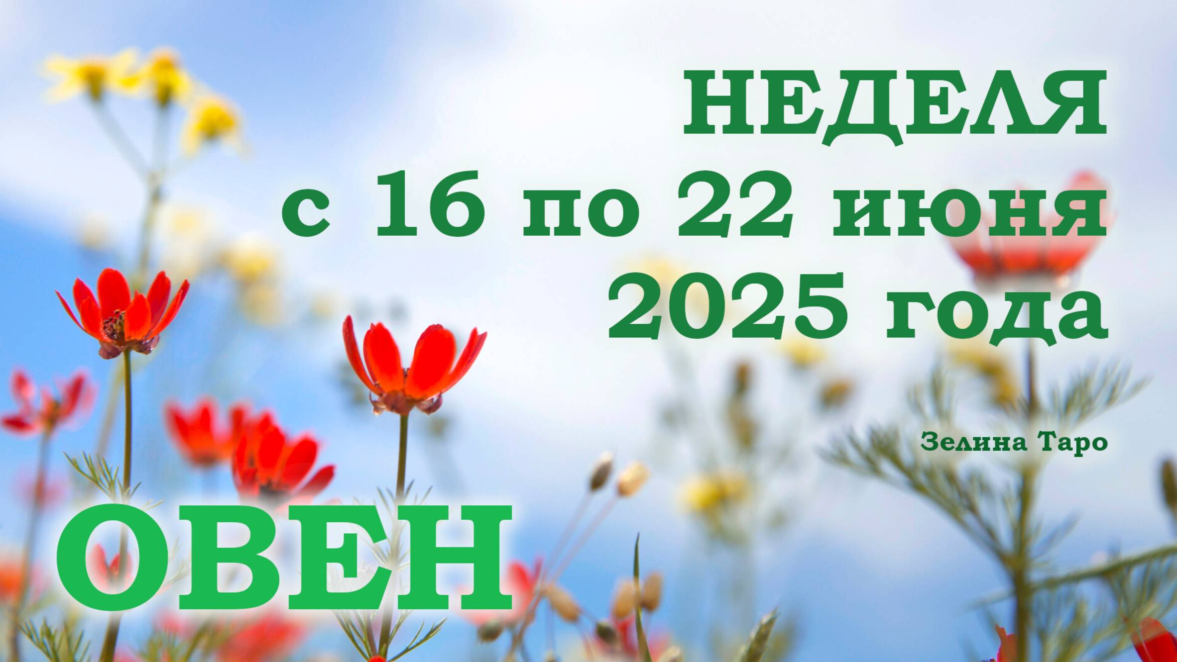 ОВЕН | ТАРО прогноз на неделю с 16 по 22 июня 2025 года