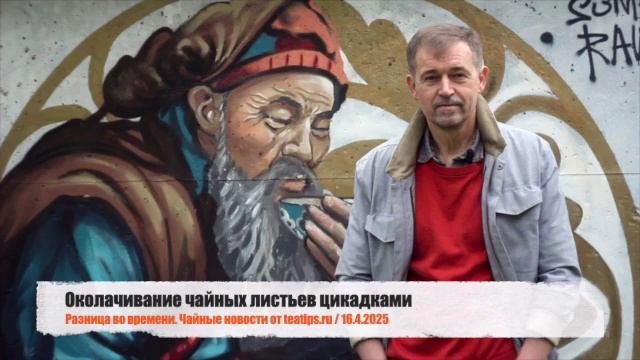 Околачивание чайных листьев цикадками смотреть онлайн