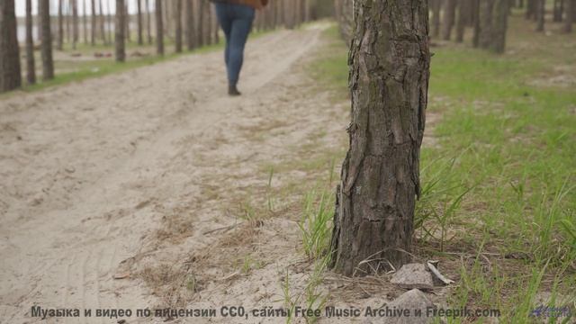 Этот клип - чистая гармония звука и мира - Four Twenty-Two -- Ayla Nereo -- Play Me a Time смотреть онлайн