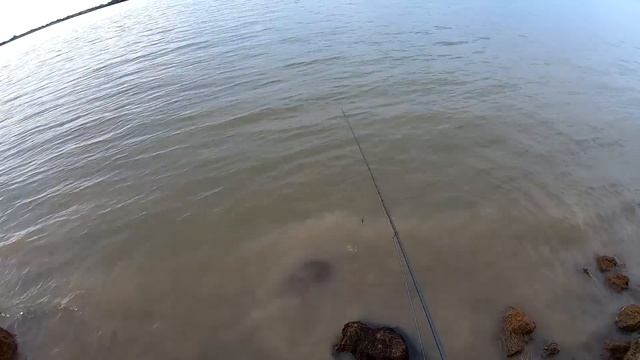 Рыбалка с берега на реке Амур. Ищу новые рыбные места