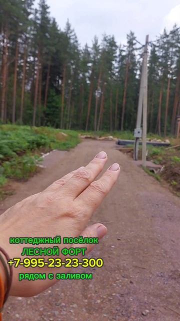 Участки в коттеджном поселке Лесной форт рядом с заливом смотреть онлайн