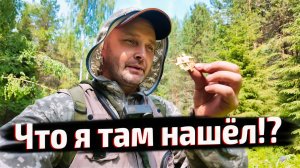 ДРЕВНИЕ СЛЕДЫ В ЛЕСУ — Исчезнувшие деревни и артефакты прошлого.