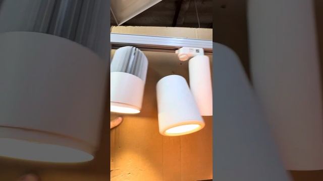 29 августа 2024 г.