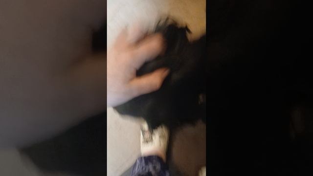1000001501.mp4 смотреть онлайн