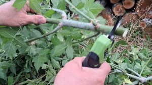 Акумуляторний секатор Procraft ES32Li - обзор от МАСТЕРА⚙