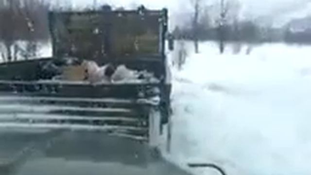 Вот что бывает когда не работает звуковой сигнал