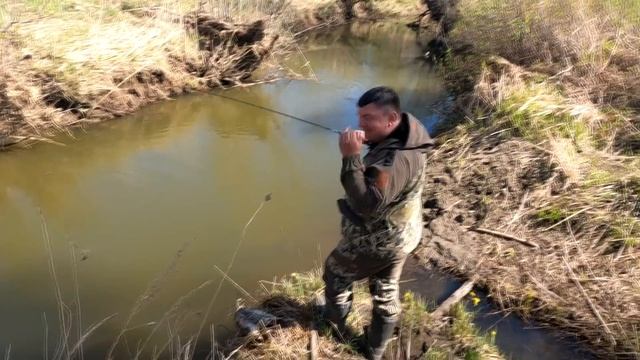 Рыбалка на микро речке! Очень злые поклевки этой рыбы смотреть онлайн
