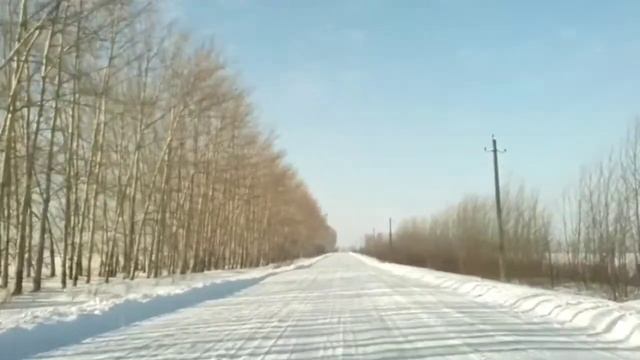 Куропатки на дороге. Зима смотреть онлайн