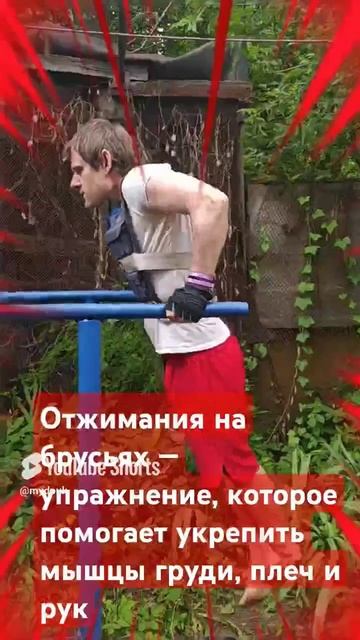 спорт на улице смотреть онлайн