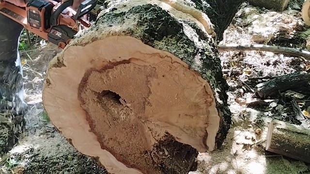 аккумуляторная цепная пила Техас смотреть онлайн