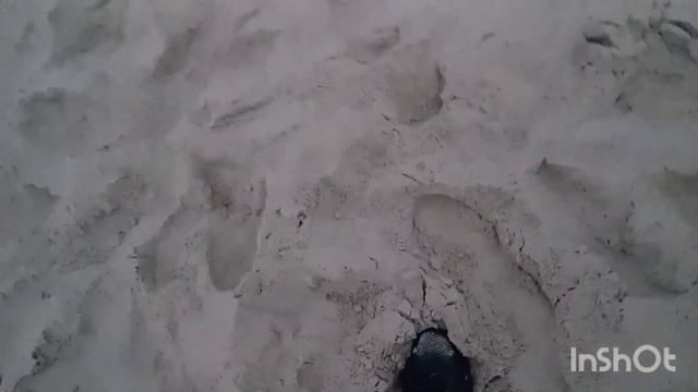 пляжный поиск 8