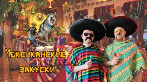 Мексиканский Сытый Хаски