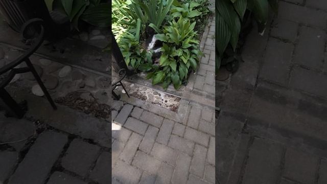 VID_20250613_122722.mp4 смотреть онлайн