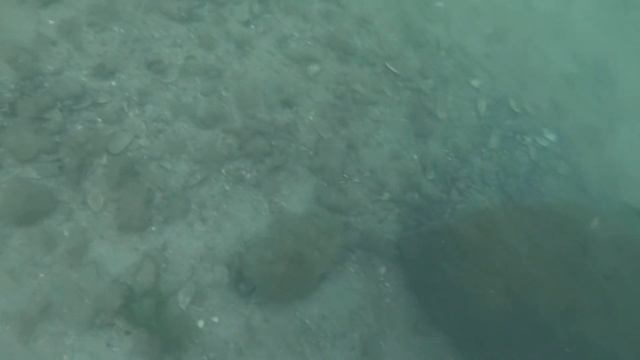 Мотора е в София а аз съм във водата мани мани...(Scuba Diving