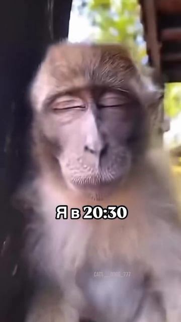 Не тот возраст