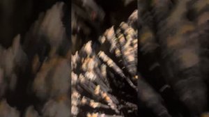 Камаз 6520 воздух ушел с первого контура