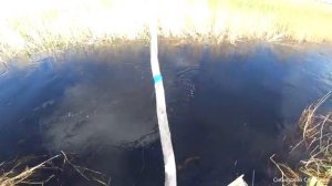 Рыбалка на паук подъёмник.Пробрались на болотоходе в сказочные места.Ловим сазанов.