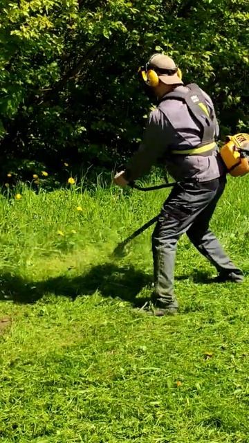 Мощная бензокоса Alpina Star 55D