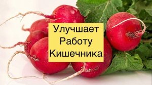 Чем Полезна Редиска?