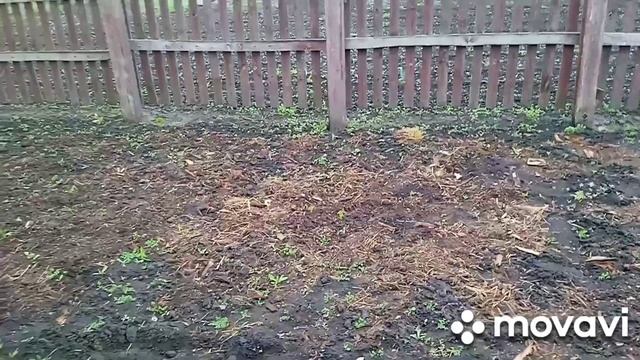 Пашу и фрезую,свой и своим родственникам огороды с.Ран