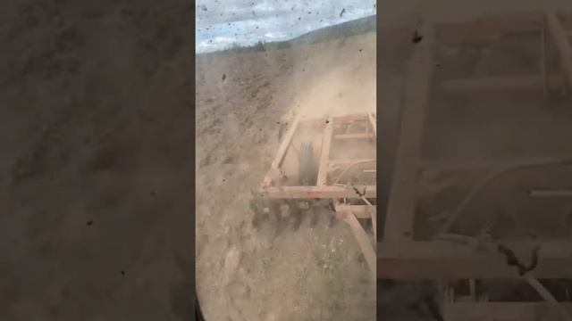 Дискование БДТ-3  Мтз -82.1