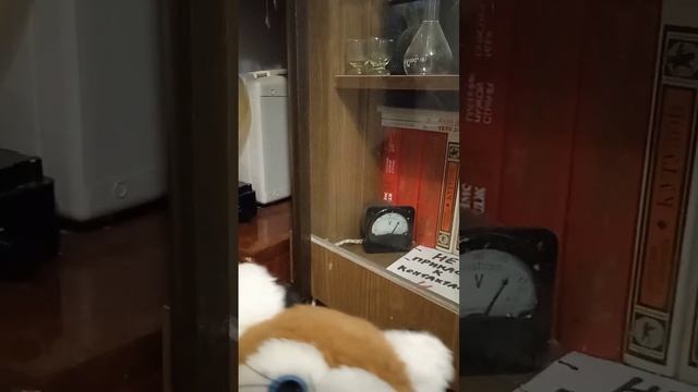 Цианид о самодельном трансформаторе. смотреть онлайн