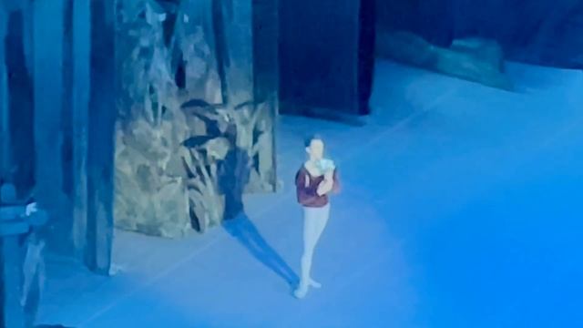 Большой театр (Новая сцена). Балет А. Адан «Жизель» 17.05.2