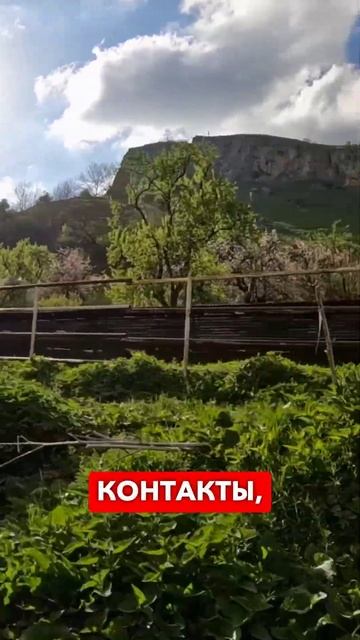 Приезжайте в Осетию отдыхать! #shibargan #горы #осетия смотреть онлайн