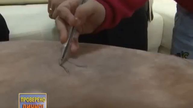 Диваны и Кресла в  Программе 