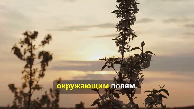 Как Роман создал свой яблоневый рай смотреть онлайн