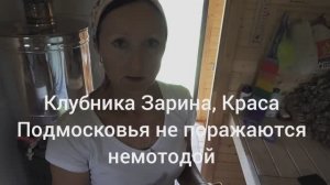 6 соток 12 июня 2025 года. 1 часть