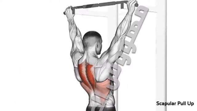 Турник тренировка на крыло