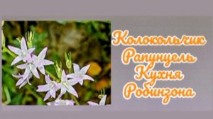 КУХНЯ РОБИНЗОНА НАТАЛЬЯ ЗАМЯТИНА | АУДИОКНИГА |  ГЛАВА