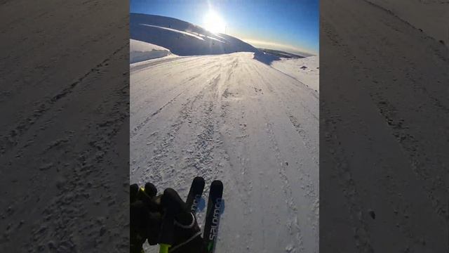 Хибины Кировск Bigwood, 5 февраля 2024, трасса 9