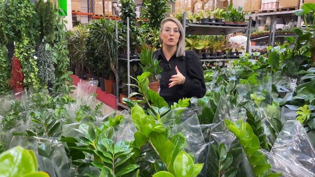 Зачем озеленителям переходить на оптовые закупки рас? смотреть онлайн
