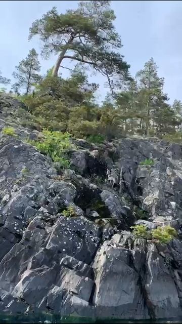 «Шхеры для души: легенды, нерпы и остров-желание»