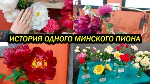 Пионовый экстаз в Минске/Философия пиона, пионовый вальс, россыпи пионов, эпоксидные пионы