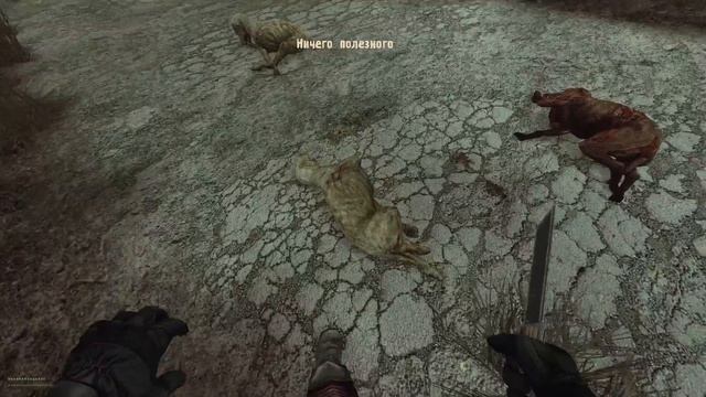 Прохождение Сталкер Dead Air Последний выживший #1 смотреть онлайн