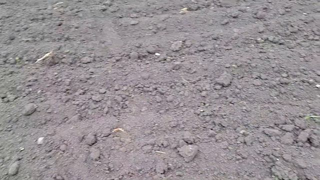 Жизнь Деревенская. Стоит засуха,дождей нет.5 мая