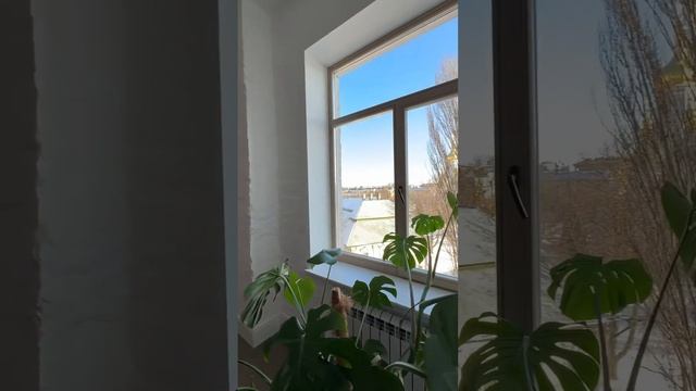 ID 555. Інстаграмна квартира з видом на Софійський собор