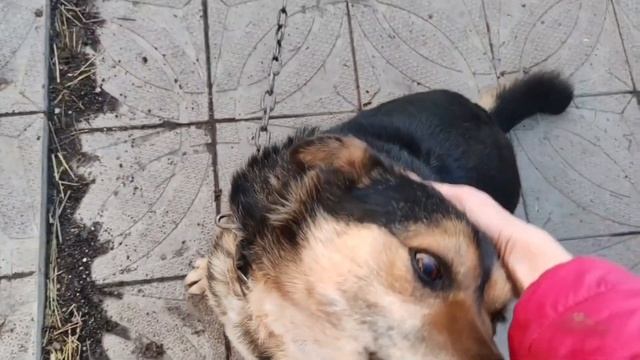 И снова про клумбу перед домом, бижутерку и другие мел?