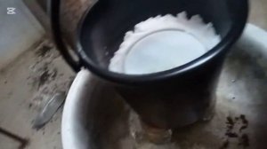 Как правильно вялить красноперку сухим посолом, чтобы