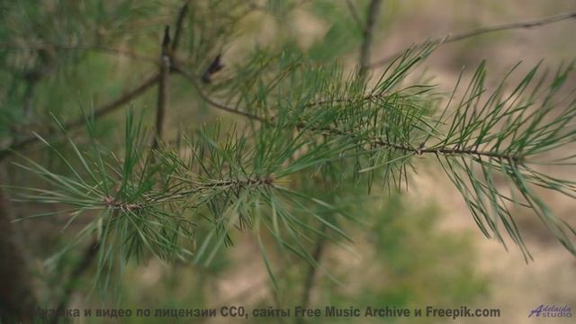 Почему NASA использует эту мелодию для астронавтов - Storytime -- AJ Super -- Story Time