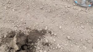 Коп с ака Интроник.