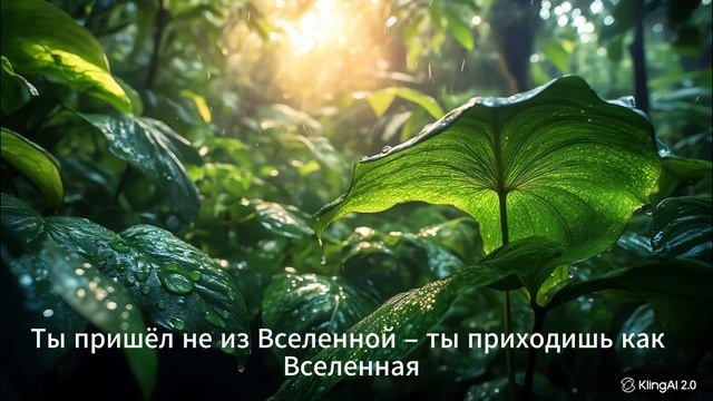 Подпишись! смотреть онлайн