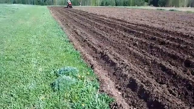 Первые испытания мини трактора в борозде.