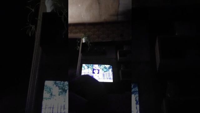 донаты на телефон+79534285817 Никита б. смотреть онлайн